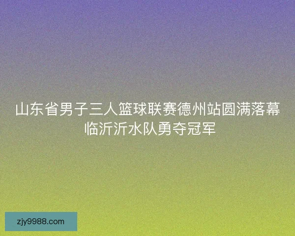 山东省男子三人篮球联赛德州站圆满落幕 临沂沂水队勇夺冠军 山东省男子三人篮球联赛德州站圆满落幕 临沂沂水队勇夺冠军