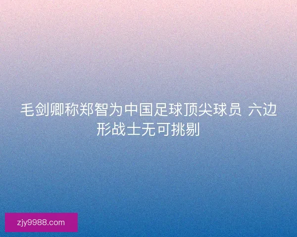 毛剑卿称郑智为中国足球顶尖球员 六边形战士无可挑剔